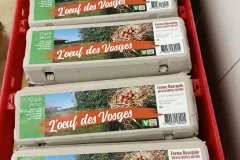 ImageToStl.com_caisseavecbtesoeufs1