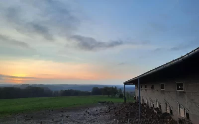 Nouveau site Internet